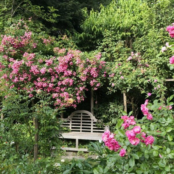 Sommerurlaub IMG_20220606_170445